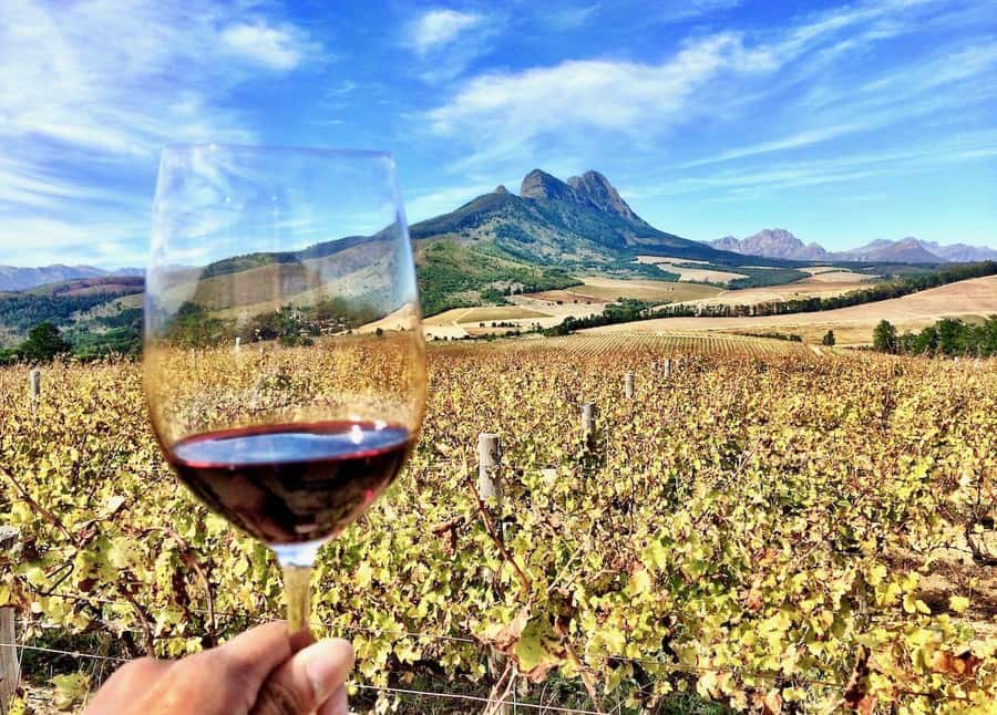 CUSTOMISED PRIVATE WINE TOUR WITH LUNCH - CAPE TOWN - A private Stellenbosch day built around your taste