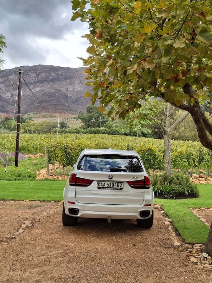 CUSTOMISED PRIVATE WINE TOUR WITH LUNCH - CAPE TOWN - Tokara and Waterford: two different afternoon moods