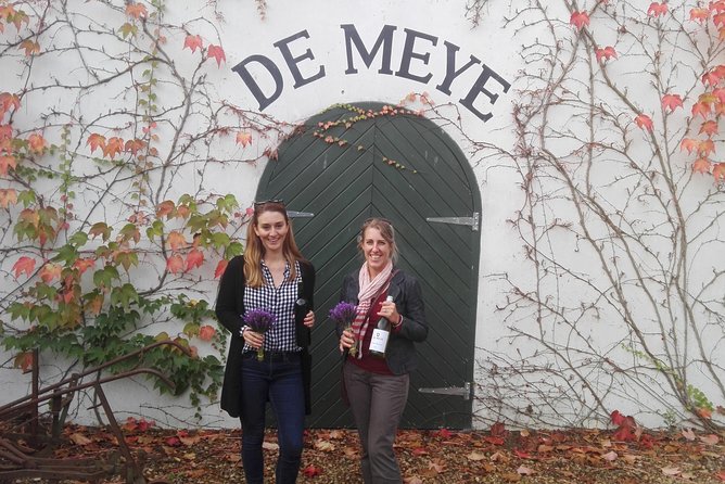 Daily Different small group WINE tour - STELLENBOSCH PICKUP only - Timing, pickup, and practical planning