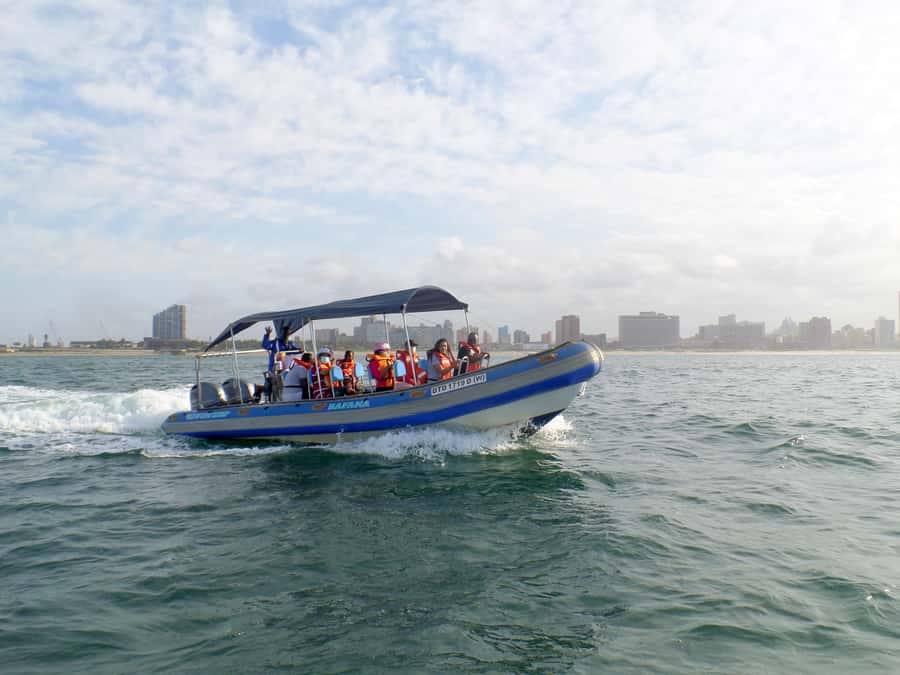 Durban: 1-Hour Boat Cruise from Wilson's Wharf - Price, value, and what is not included
