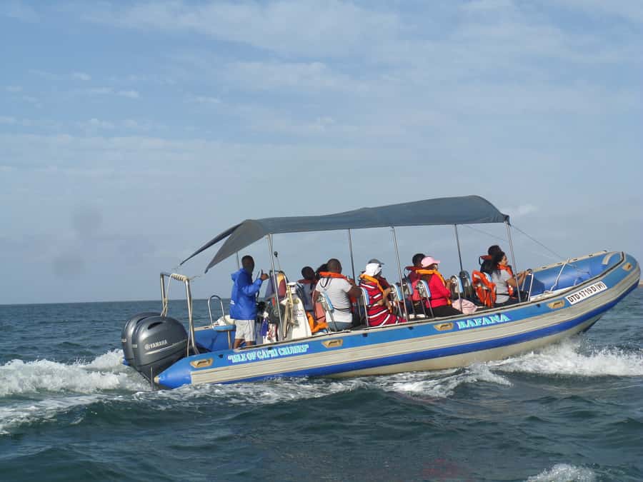 Durban: 1-Hour Boat Cruise from Wilson's Wharf - Why this short cruise works so well in Durban