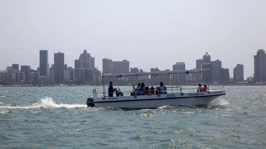 Durban: 1-Hour Boat Cruise from Wilson's Wharf - The safety briefing and first harbor views