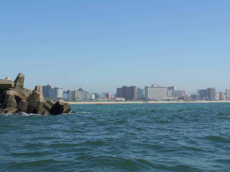 Durban: 1-Hour Boat Cruise from Wilson's Wharf - Seeing container ships and cruise liners from the water