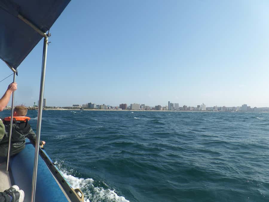 Durban: 1-Hour Boat Cruise from Wilson's Wharf - Music, photos, and the social side of the ride