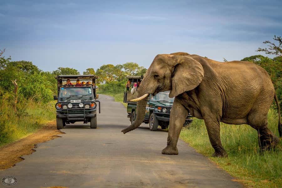 Durban:3 Day Hluhluwe-Imfolozi Park, St Lucia, iSimangaliso - Key points to know before booking