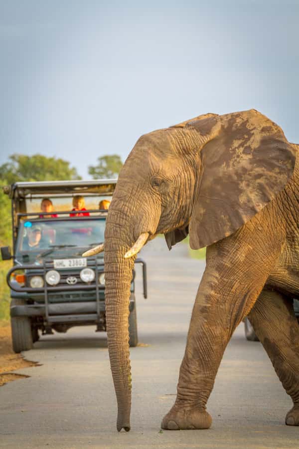 Durban:3 Day Hluhluwe-Imfolozi Park, St Lucia, iSimangaliso - St Lucia accommodation and evening time