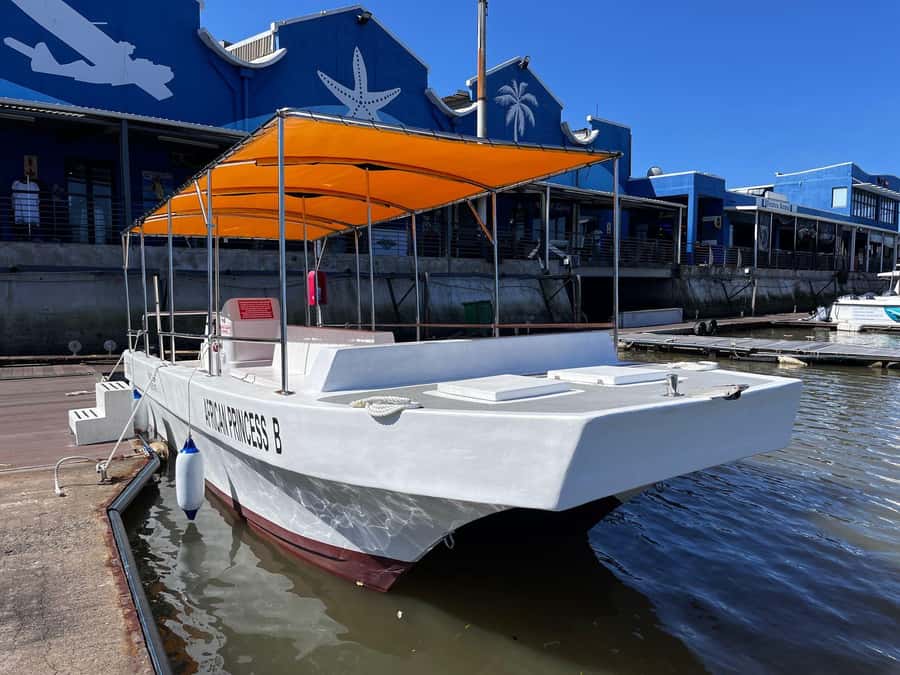 Durban: 30-Minute Harbor Boat Cruise - Commentary, music, and the feel on board
