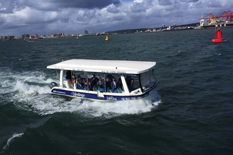 Durban: 30-Minute Harbor Boat Cruise - Views, birds, and the Durban skyline