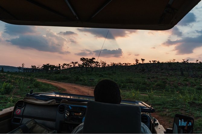 Durban: Big 5 Safari - Open Safari Vehicle at Exclusive Reserve - The 5:30 am Pickup From Durban