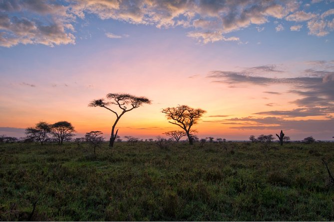 Durban: Big 5 Safari - Open Safari Vehicle at Exclusive Reserve - What to Bring and What to Confirm