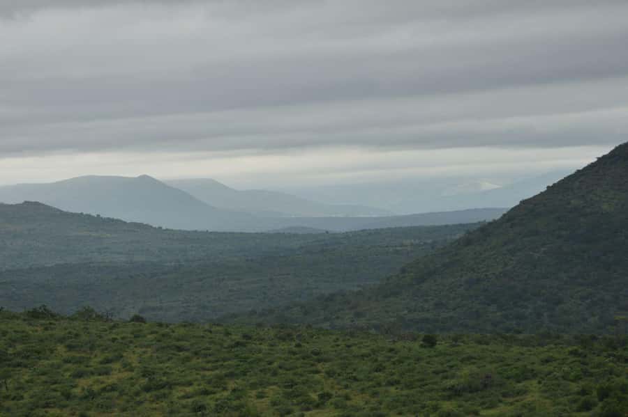Durban: Full Day Hluhluwe-iMfolozi Game Reserve with lunch - FAQ