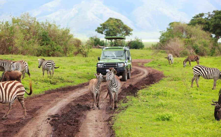 Durban: Half Day Phezulu Safari Park and Durban City Tour - Starting at 8:00 AM from Durban