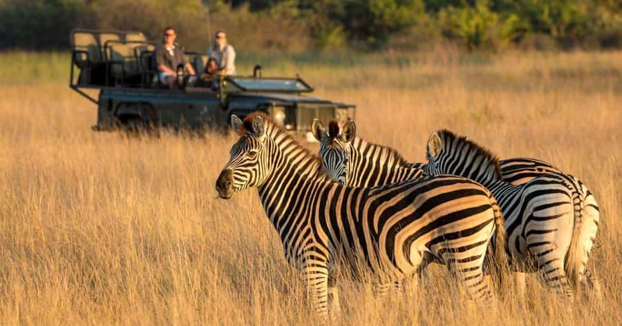 Durban: Half Day Phezulu Safari Park and Durban City Tour - Returning to Durban for the Golden Mile