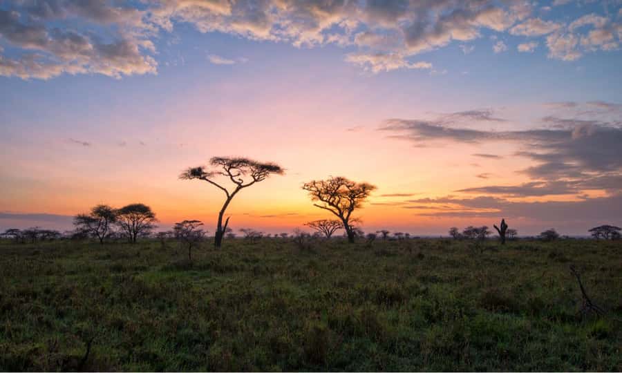 Durban: Hluhluwe Big 5 Safari with Pro Zeiss Binoculars - Wildlife sightings and realistic Big 5 expectations