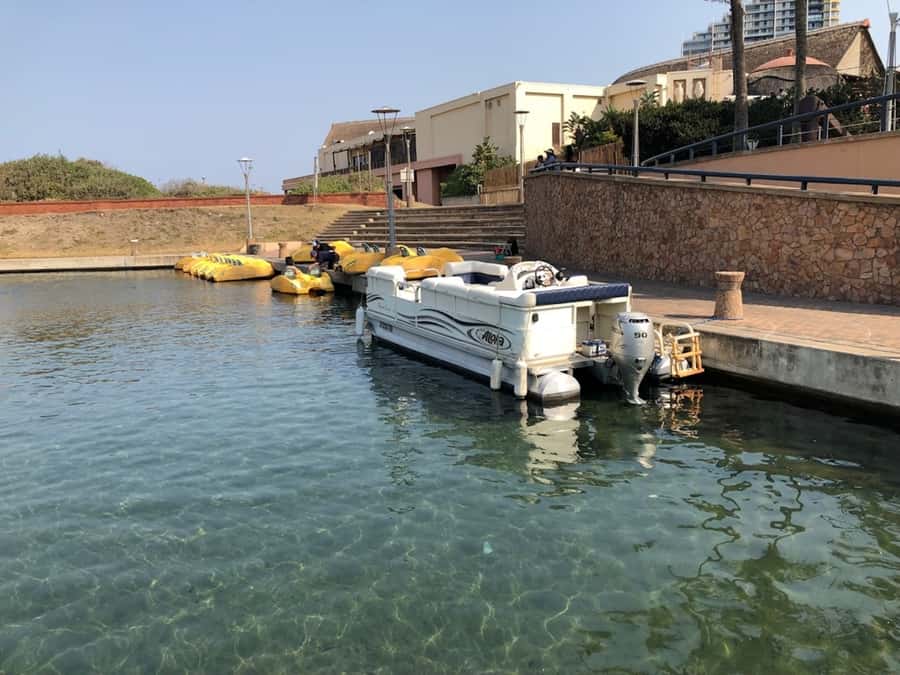 Durban Point Waterfront: Luxury Canal Boat Cruise - Why the Durban canals are worth seeing from a boat