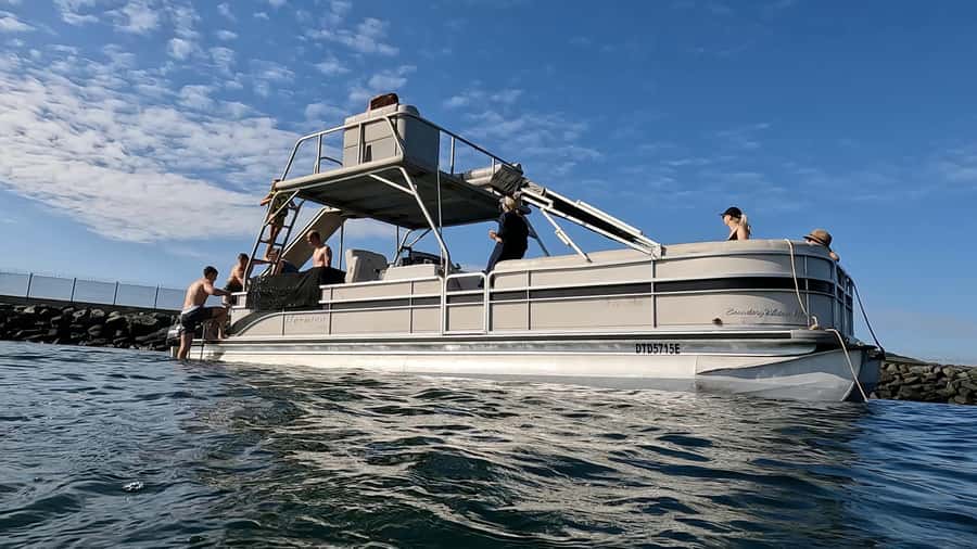 Durban: Pontoon Boat Harbor Cruise - Wildlife sightings: possible, not promised