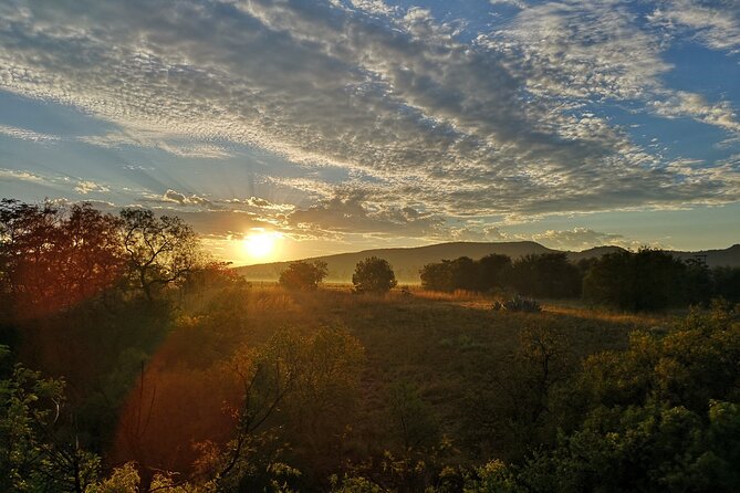 Early Morning Balloon Safari with Breakfast from Magaliesburg - Who should book this balloon safari?