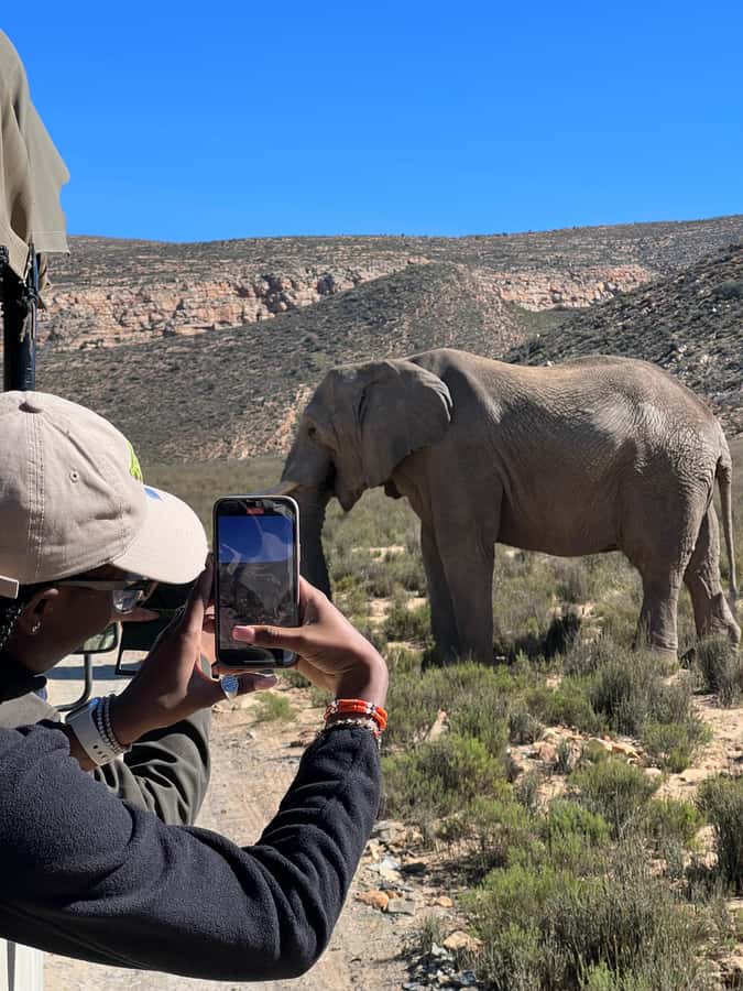 Early Morning Safari Big Five Experience Near Cape Town, SA - Why this Cape Town safari starts so early