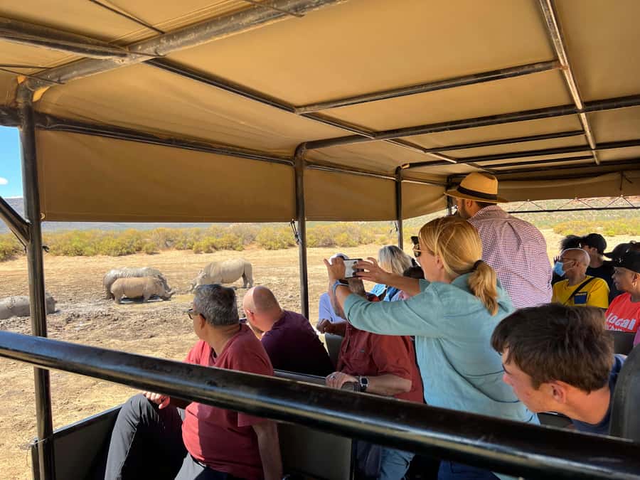 Early Morning Safari Big Five Experience Near Cape Town, SA - Who will get the most from this experience