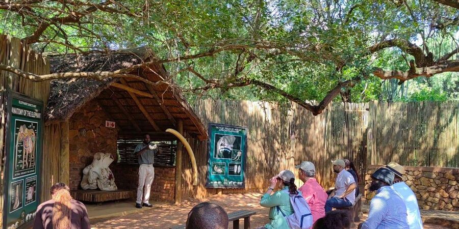 Elephant & Monkey Santuary with Lion Park Tour - Who Will Enjoy This Tour Most?