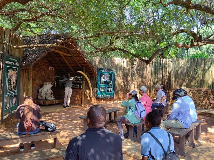 Elephant & Monkey Santuary with Lion Park Tour - Two Hours on the Lion Park Safari