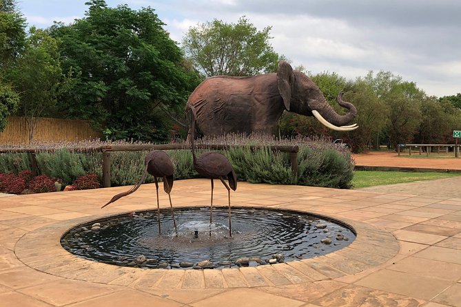 Elephant Sanctuary Tour from Johannesburg - The Conservation Talk Gives the Visit Its Meaning