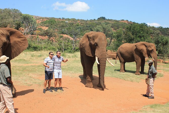 Elephant Sanctuary Tour from Johannesburg - Is $245 a Fair Price?
