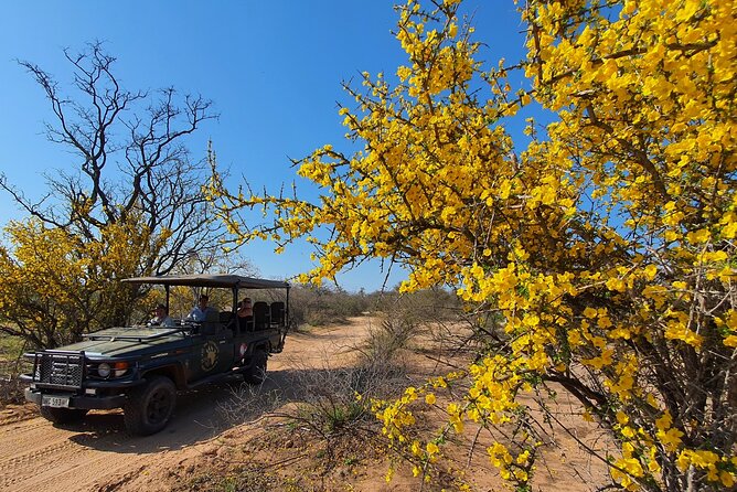 Exclusive Morning Game Drive Safari near Hoedspruit - Is $112.20 a fair price?