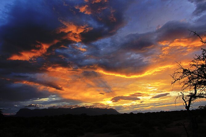Exclusive Sunset Game Drive Safari near Hoedspruit - A sunset start in the Hoedspruit bush