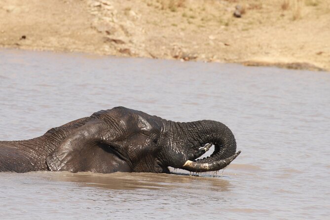 Exclusive Sunset Game Drive Safari near Hoedspruit - What the price includes at $112.20