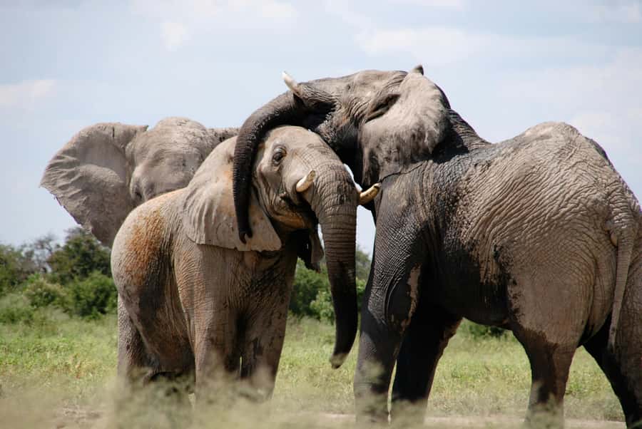 Experience an Amazing Big5 Safari near Cape Town! - The road from Cape Town to Aquila