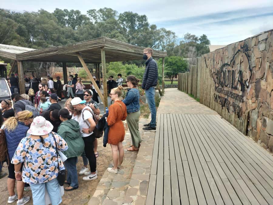 Experience an Amazing Big5 Safari near Cape Town! - Who will get the most from this day
