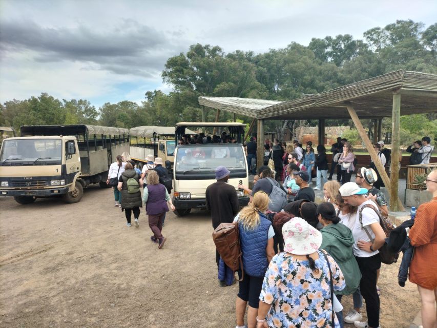 Experience an Amazing Big5 Safari near Cape Town! - Practical preparation for the reserve