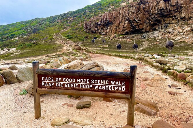 Explore Cape of Good Hope and Boulders Beach: Private Tour - Lunch in Simon’s Town, with time to slow down
