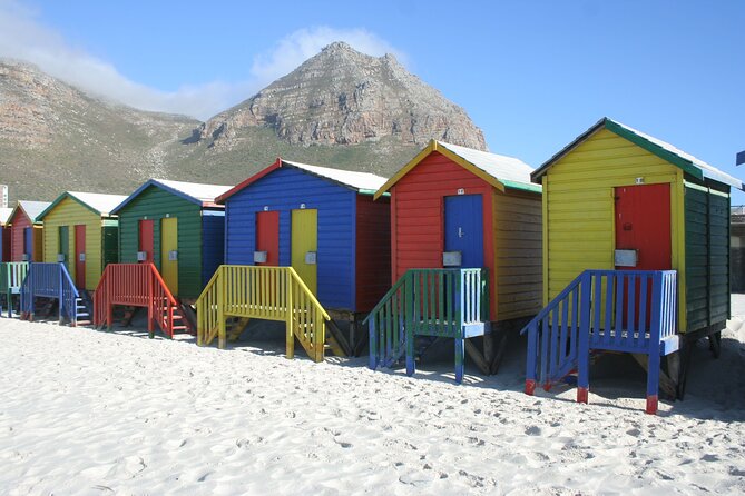 Explore Cape of Good Hope and Boulders Beach: Private Tour - What the guide adds to the day