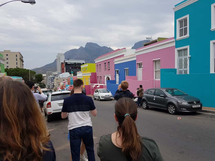 Explore: Cape of Good Hope and Penguins Full-Day Tour - Hout Bay, seal options, and the road to Chapman’s Peak