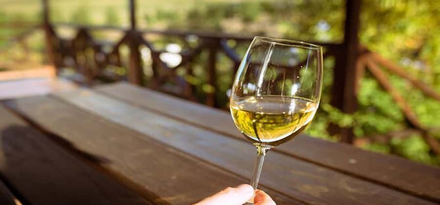 Explore Table Mountain, Kirstenbosch, & Constantia wineries. - Constantia wine country in the afternoon