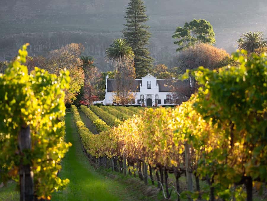 Explore Table Mountain, Kirstenbosch, & Constantia wineries. - What the price really covers