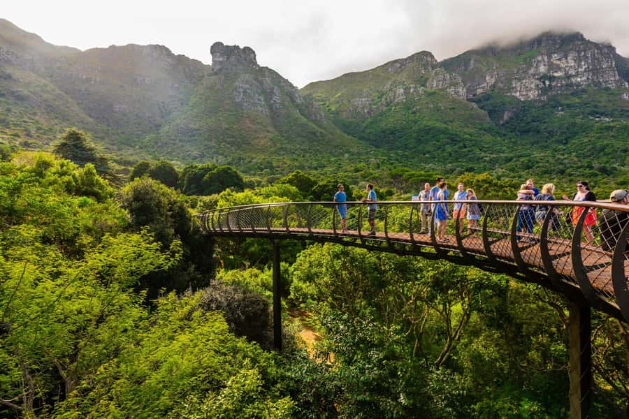 Explore Table Mountain, Kirstenbosch, & Constantia wineries. - How to plan the day well