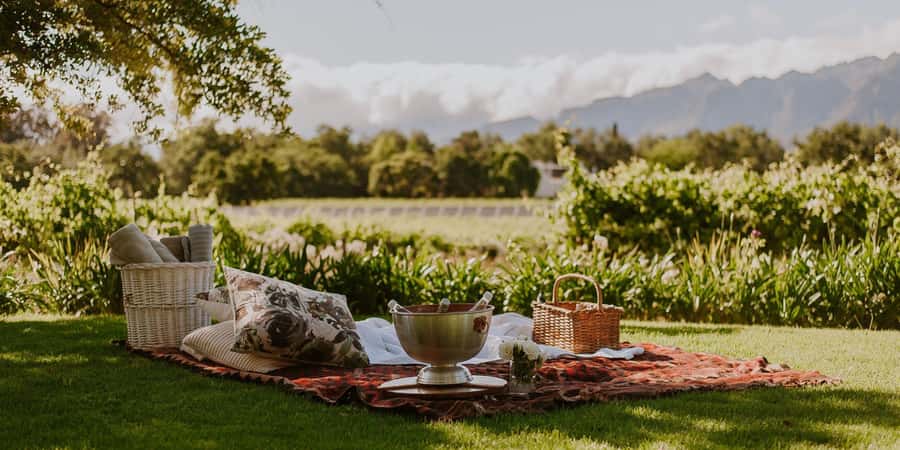 Explore Table Mountain, Kirstenbosch, & Constantia wineries. - Should you book it?