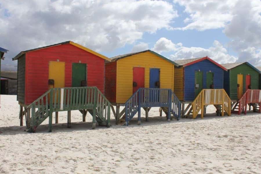 Fascinating Cape Peninsula Experience (private & exclusiv) - Cape Fynbos turns scenery into a living lesson
