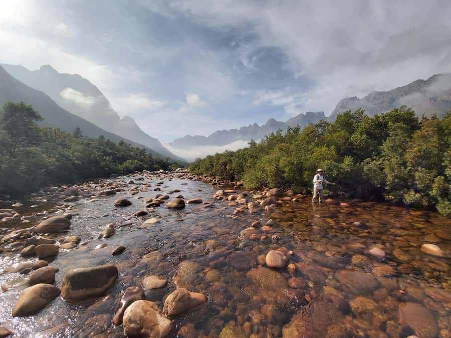 Fly Fishing in Cape Town - Key points at a glance