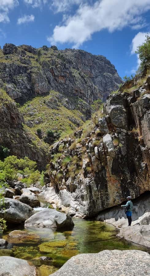 Fly Fishing in Cape Town - Lunch with local South African touches