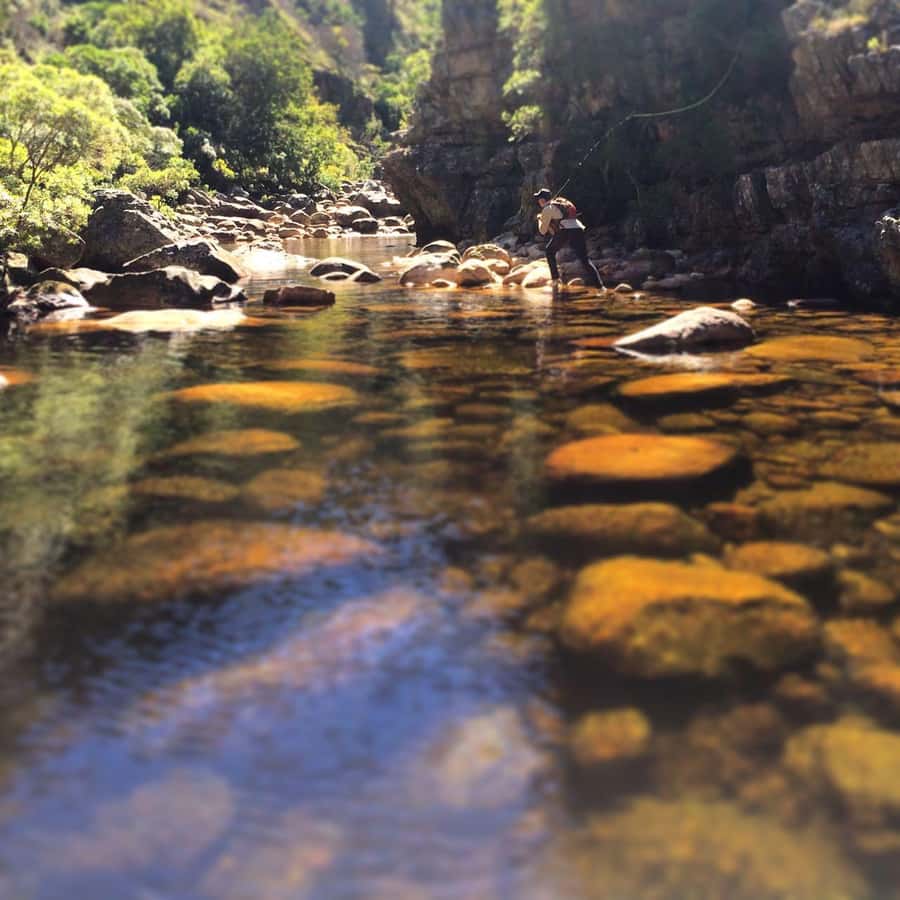 Fly Fishing in Cape Town - Who will enjoy this Cape Town experience?