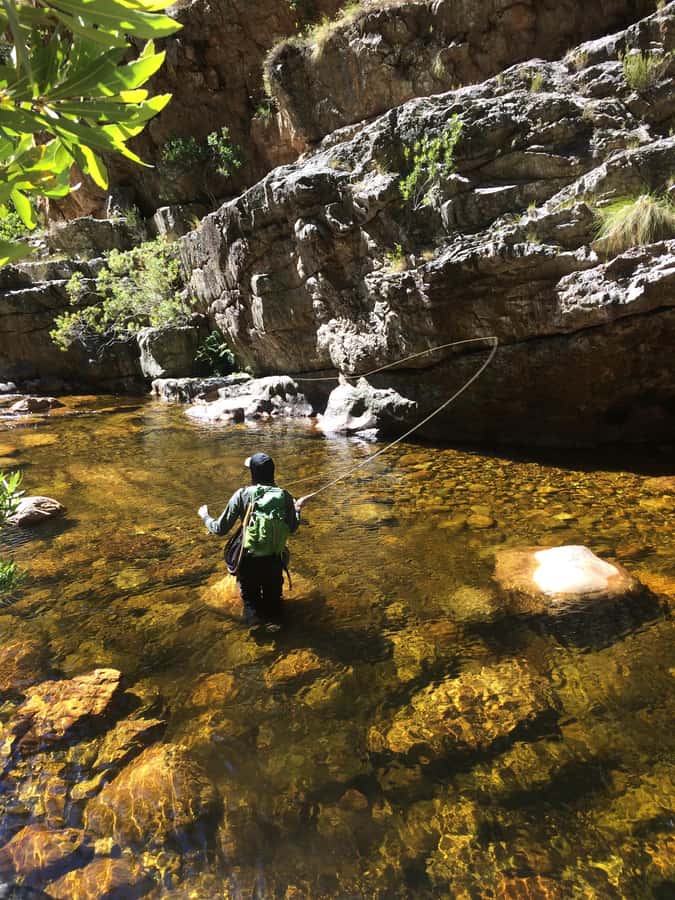 Fly Fishing in Cape Town - Practical preparation for a better day