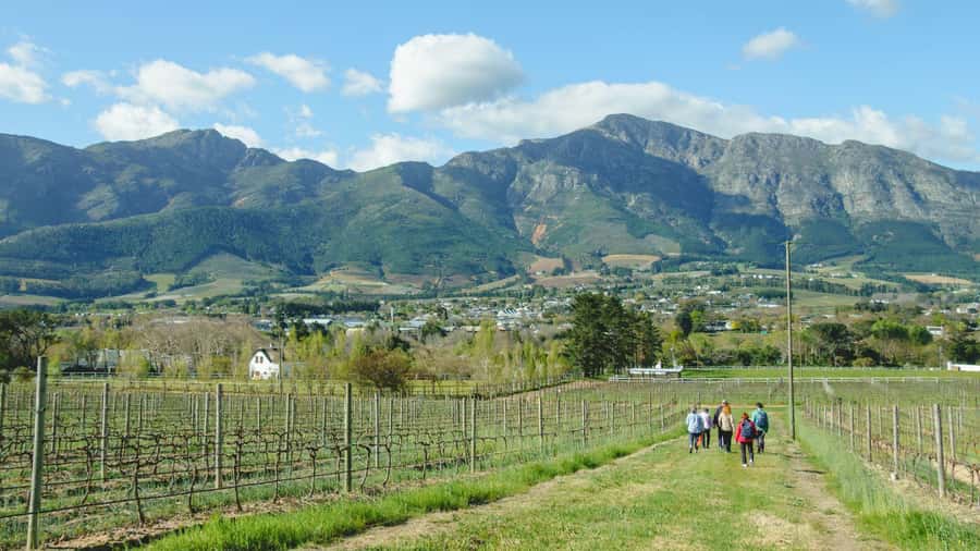 Franschhoek: An enchanting storytelling walk to 3 wine farms - Key points to know before you book