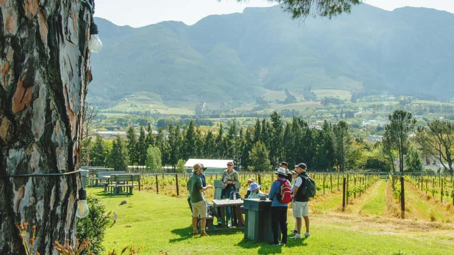 Franschhoek: An enchanting storytelling walk to 3 wine farms - Why this walk is different from the wine tram
