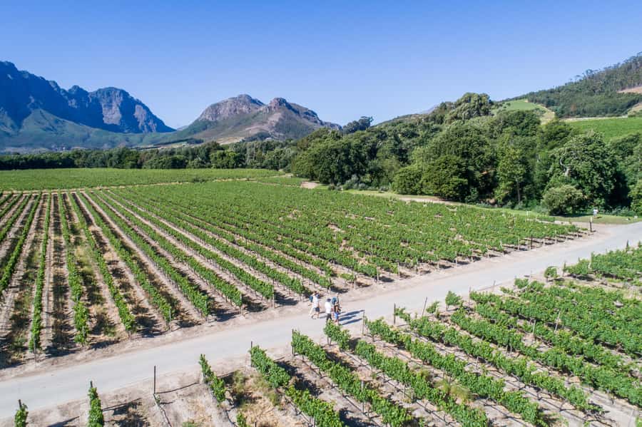 Franschhoek: An enchanting storytelling walk to 3 wine farms - The 10-minute tuk-tuk ride to La Cotte