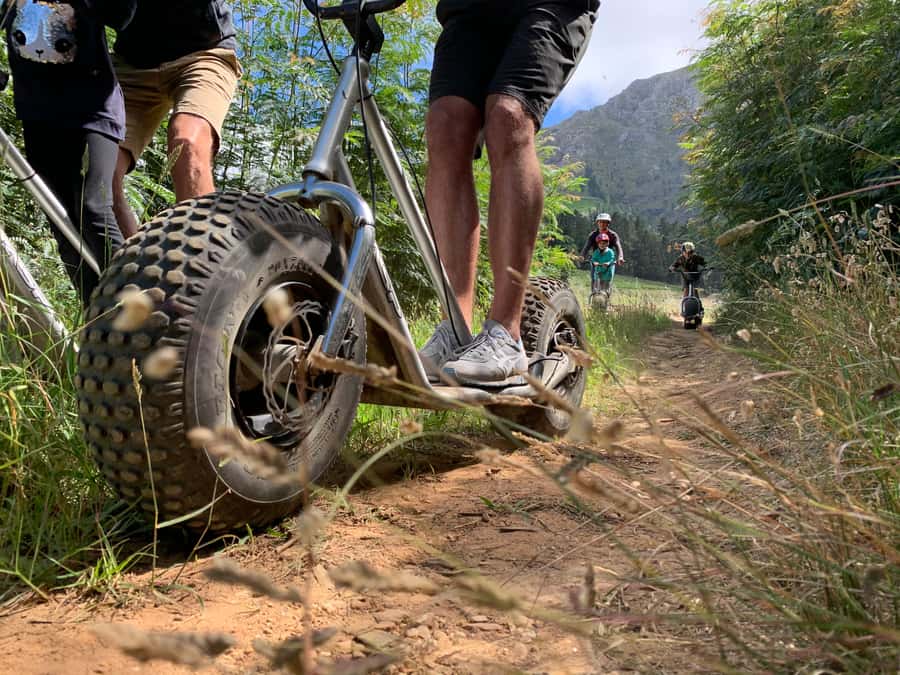Franschhoek: Downhill Scooter Tour - Who will enjoy this most