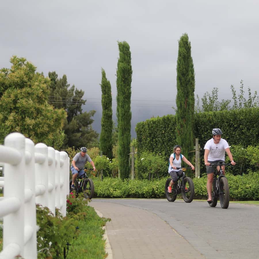Franschhoek: E-Bike Guided Winery Tour - The first ride through vineyard country